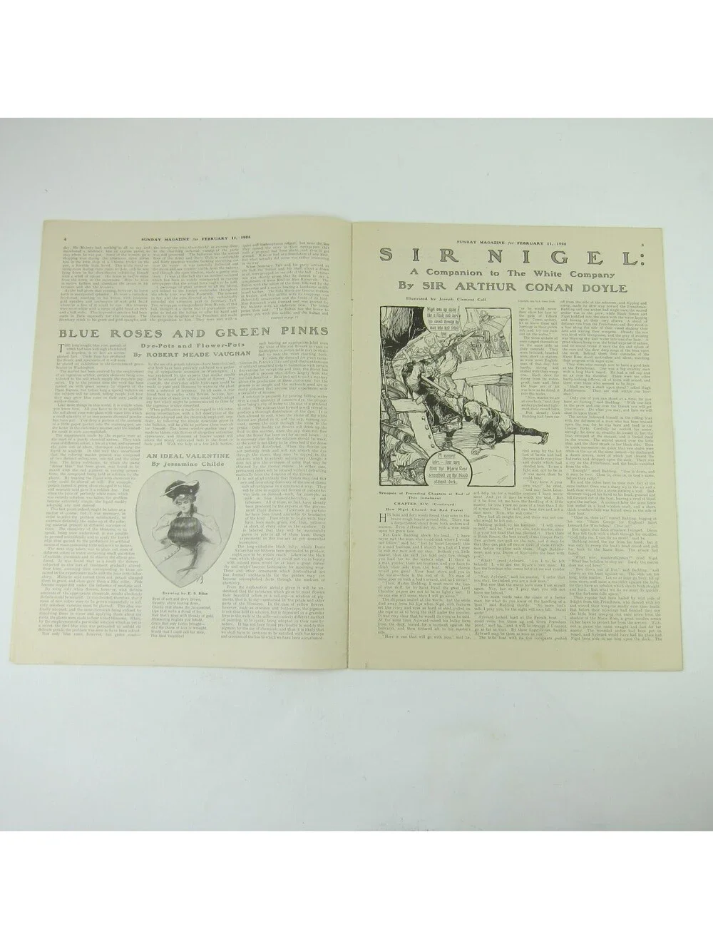 Sunday Record Herald Magazine Woman Reads Valentine Red Flowers Antique 1906